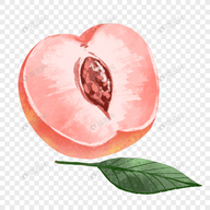 91蜜桃APP应用